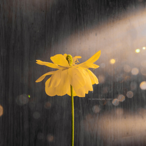 国产永久av免费网站
