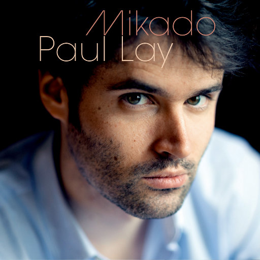 国产永久av免费网站
